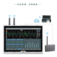 TP1100 無(wú)線數(shù)據(jù)記錄儀